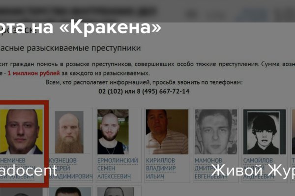 Ссылки на кракен мегу