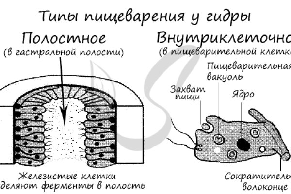 Кракен рабочая ссылка