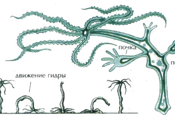 Кракен вход ссылка