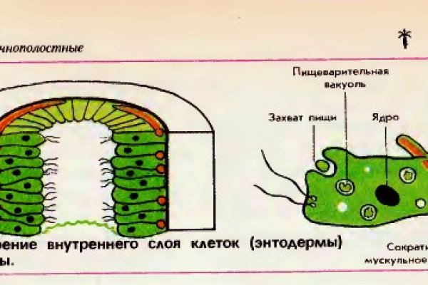 Кракен торговая